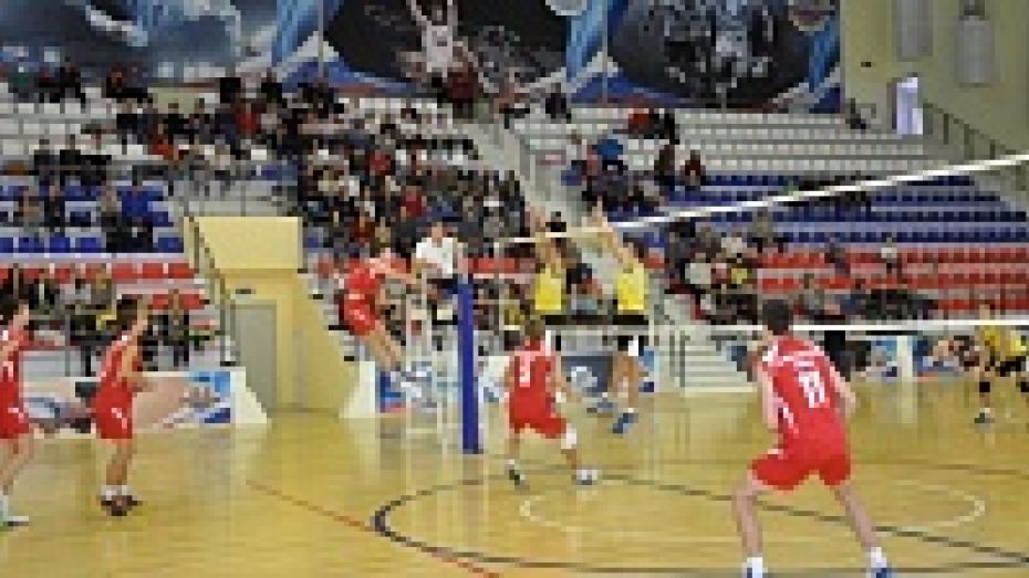 В Павловске впервые прошел межрегиональный турнир по волейболу