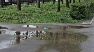 Дождь и небольшое похолодание спрогнозировали в Воронеже