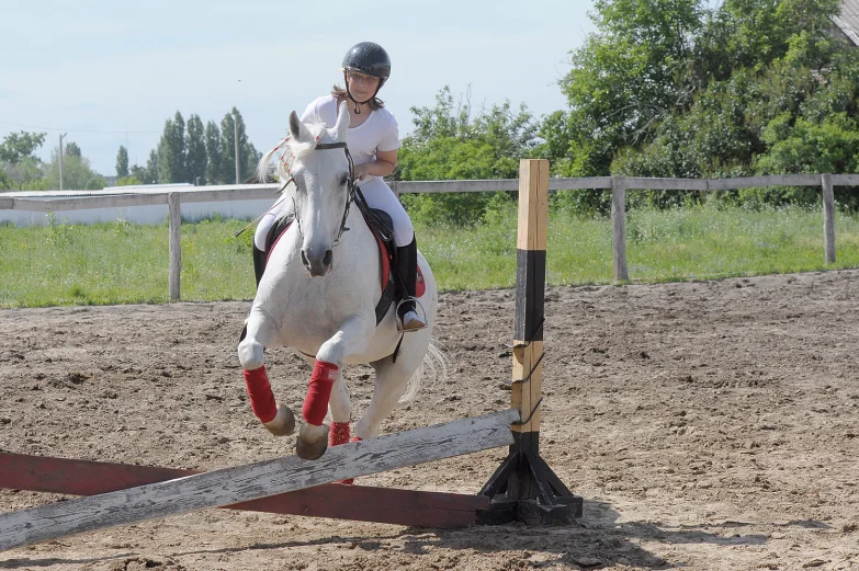 Детский конно-спортивный клуб «Олимп» в Павловске