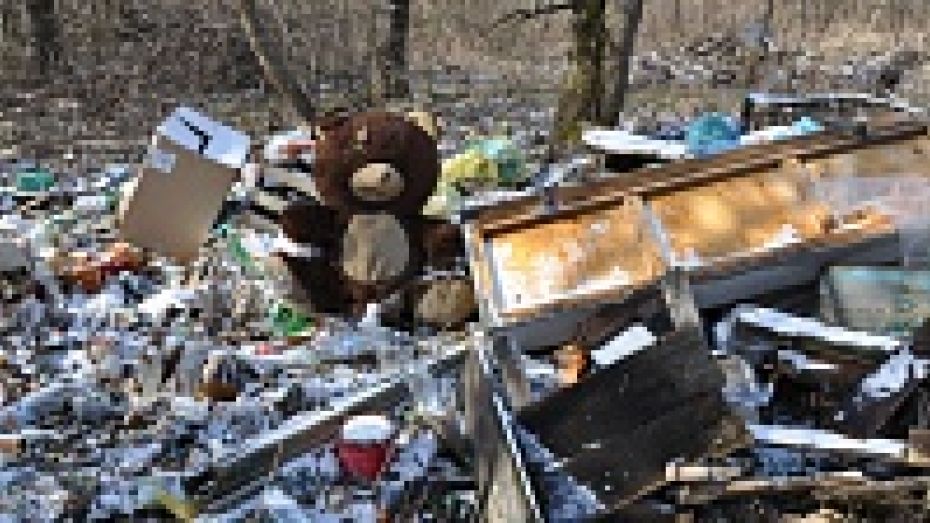 Жители павловского села жалуются на превращение леса в свалку