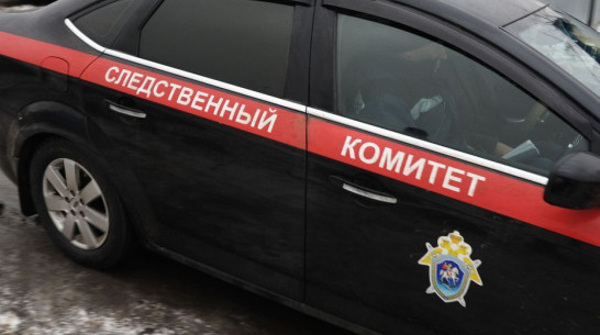 Уголовное дело об убийстве возбудили после исчезновения 31-летней женщины в Воронежской области