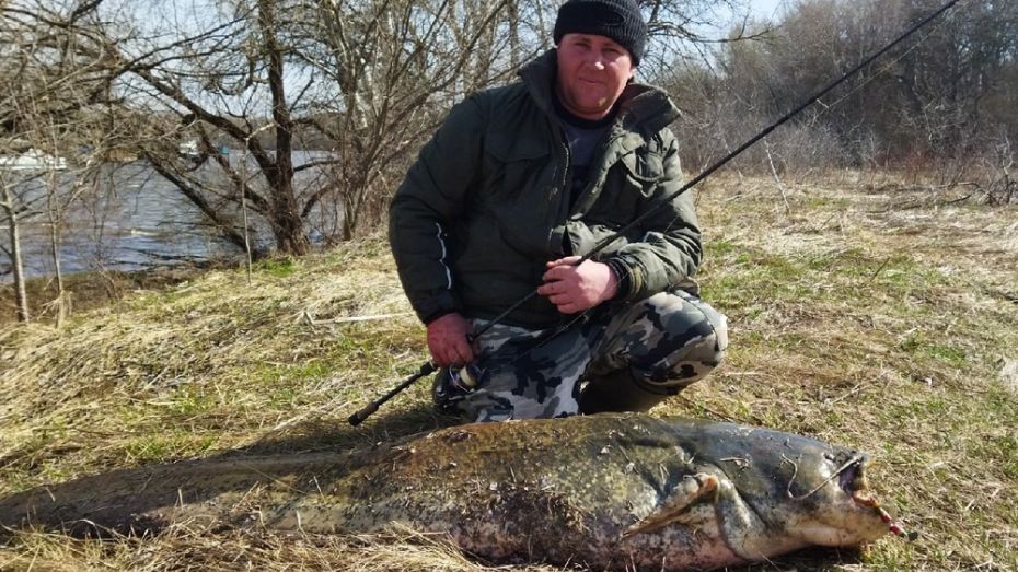 Павловский рыбак поймал в затоне реки Осередь сома длиной около 2 м