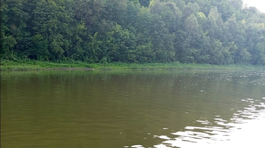 В Воронежской области рыбаки нашли тело утонувшей в Дону 46-летней женщины