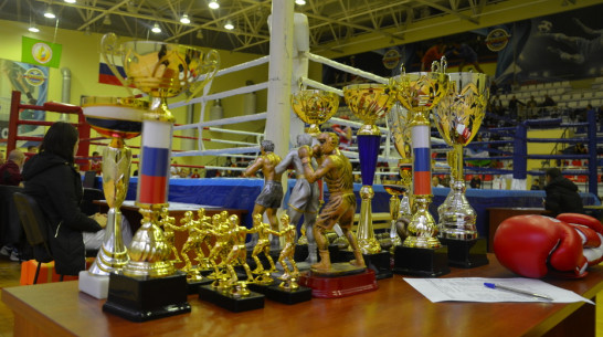 Трехдневный турнир по боксу проведут в Павловске