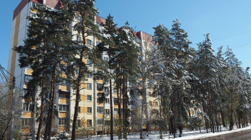 В Воронежской области потеплеет до +11 градусов