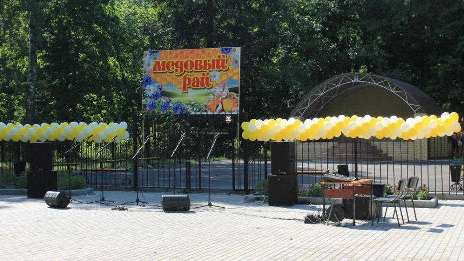 Фестиваль меда пройдет в павловском селе Воронцовка