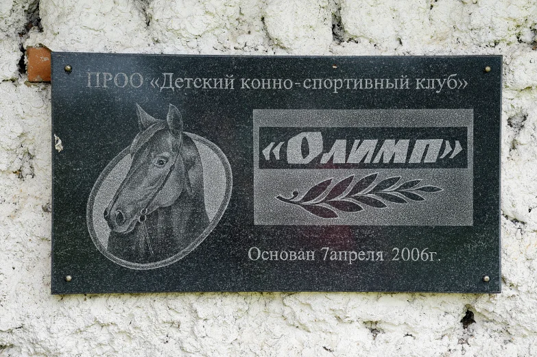 Детский конно-спортивный клуб «Олимп» в Павловске