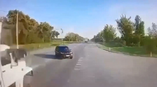 Момент смертельного ДТП с фурой в Воронежской области показали на видео от первого лица