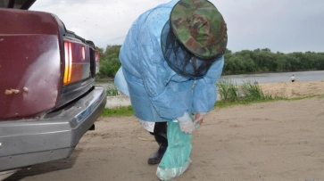 «Лишний раз из дома не выходим». Как жители 9 районов Воронежской области спасаются от комаров