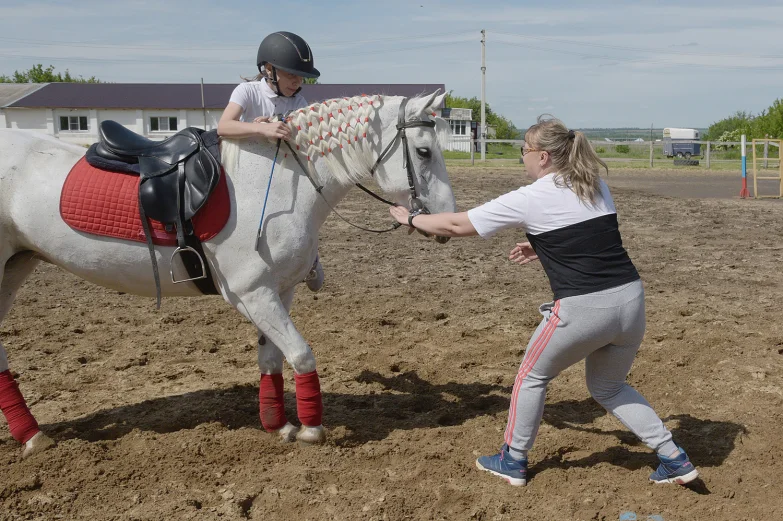 Детский конно-спортивный клуб «Олимп» в Павловске