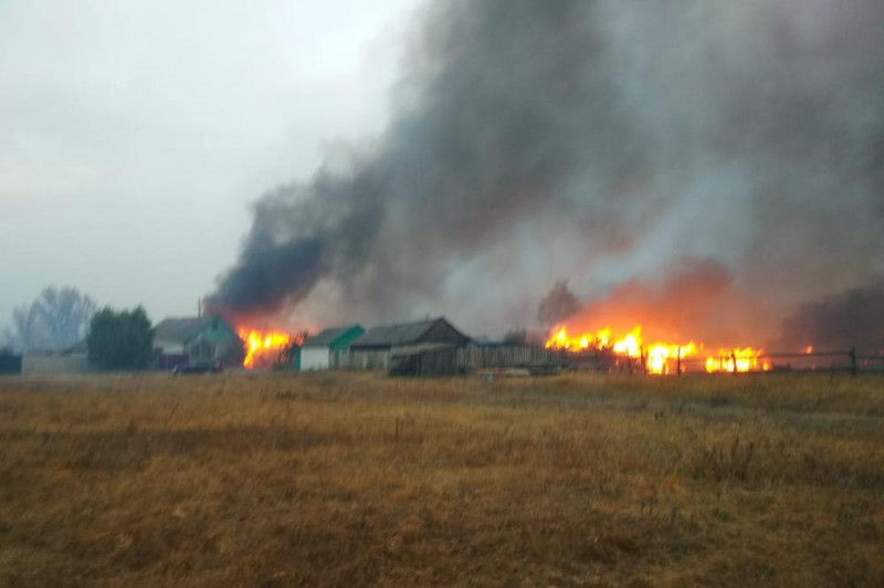 Пожары Воронежской области